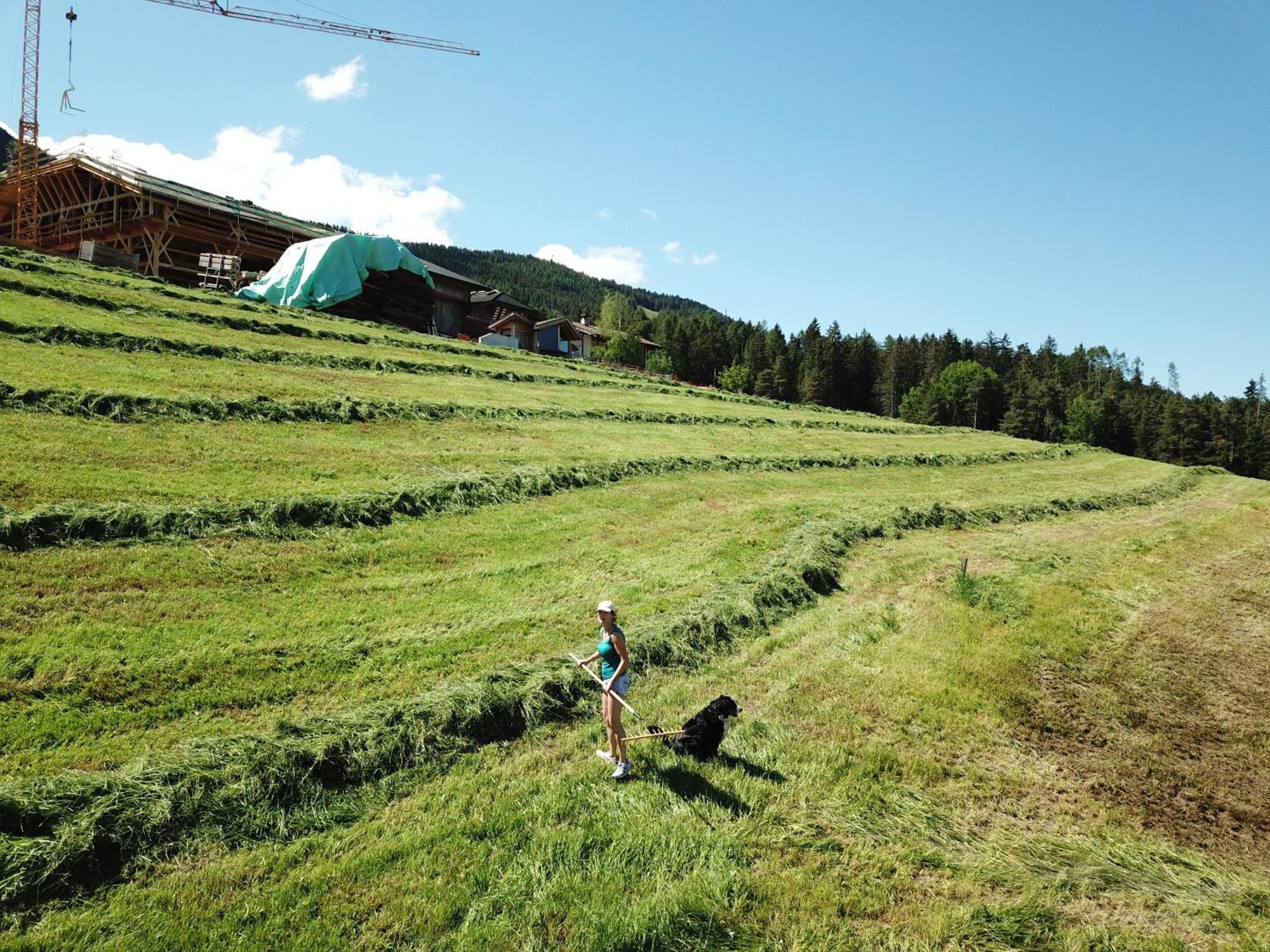 Hof Zerund Castelrotto Exterior foto